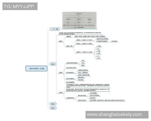 全球电竞联赛蓝图探索主客场制的实施路径与发展策略